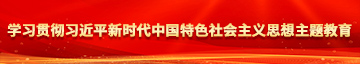 日韩操逼爽死了学习贯彻习近平新时代中国特色社会主义思想主题教育